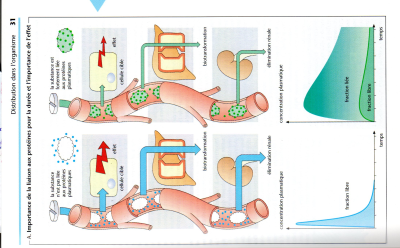 liason aux protéines plasmatiques.jpg