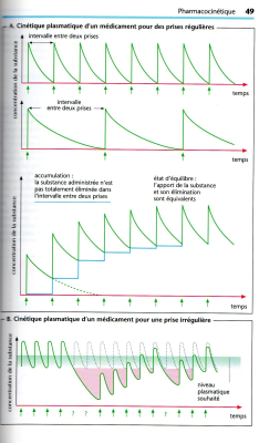 Cinétique plasmatique dunmédicament pour des prises régulières.jpg